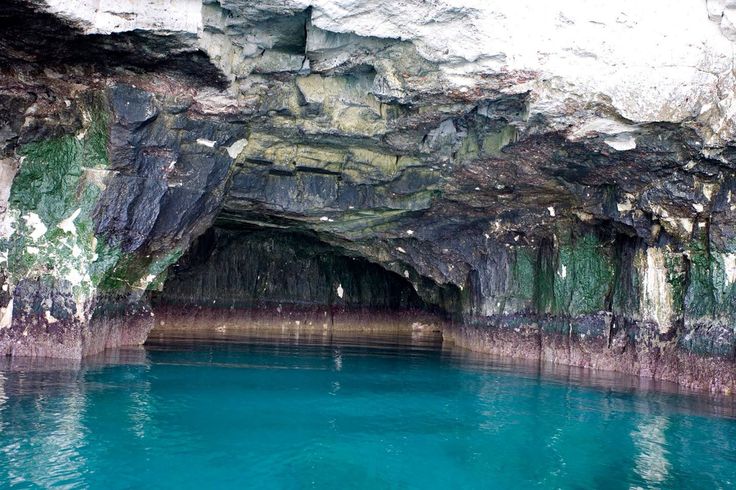 Tour a Isla del Carmen ( Playa Arroyo Blanco + Cueva marina)